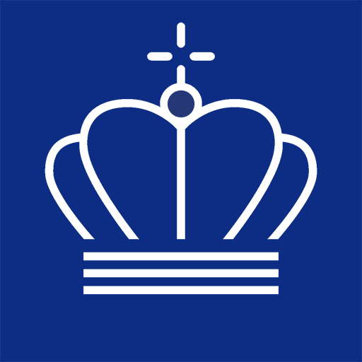 DMI logo